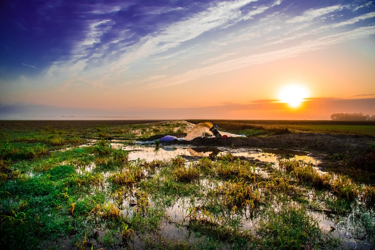 Flooding The Pond #1 by Bach Prados 