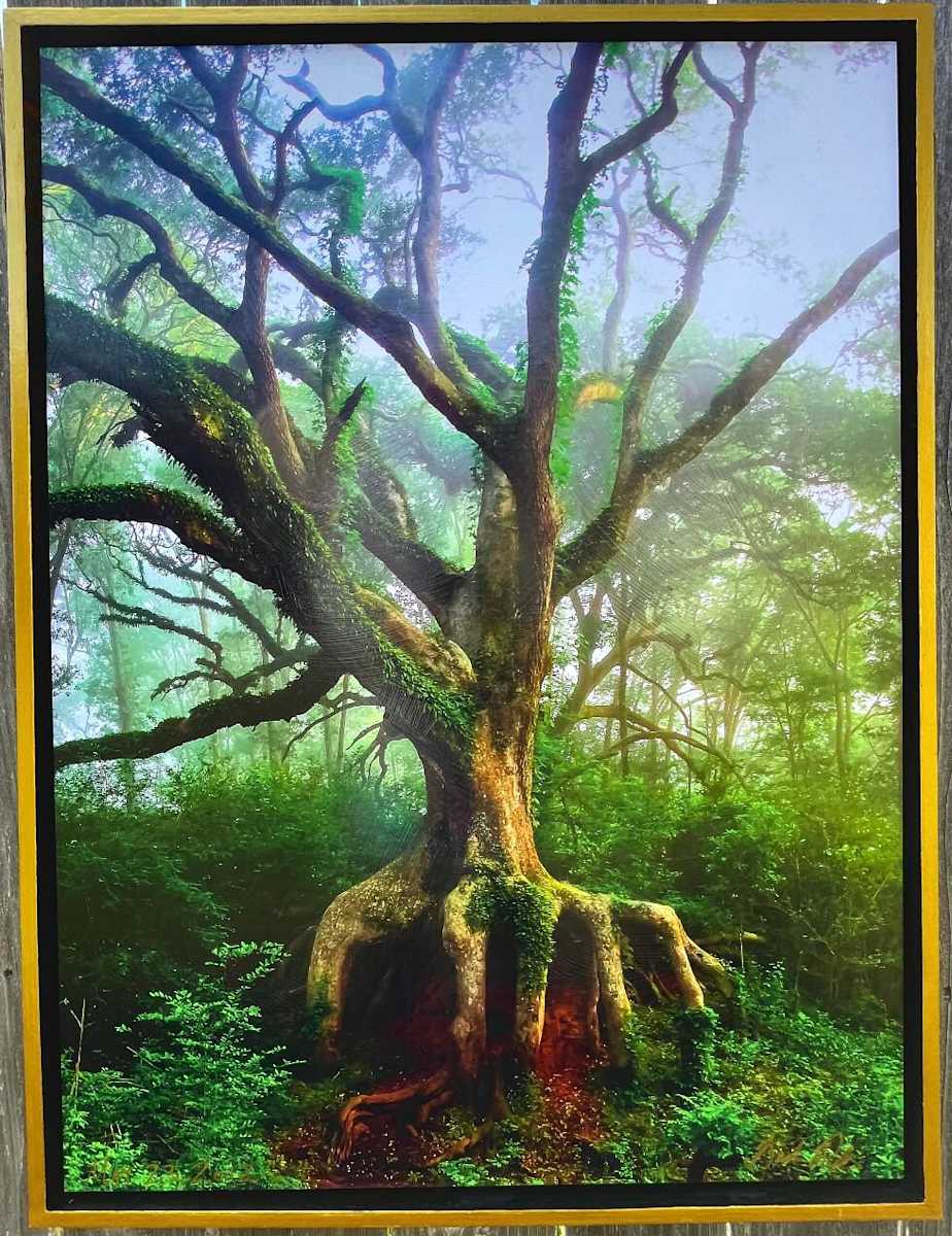 The Tree Root (Large) by Bach Prados 