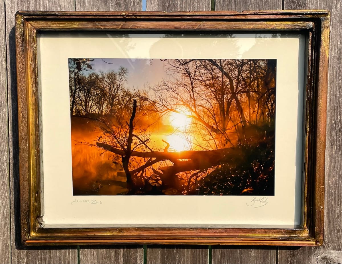 Sunburst Sunrise by Bach Prados 
