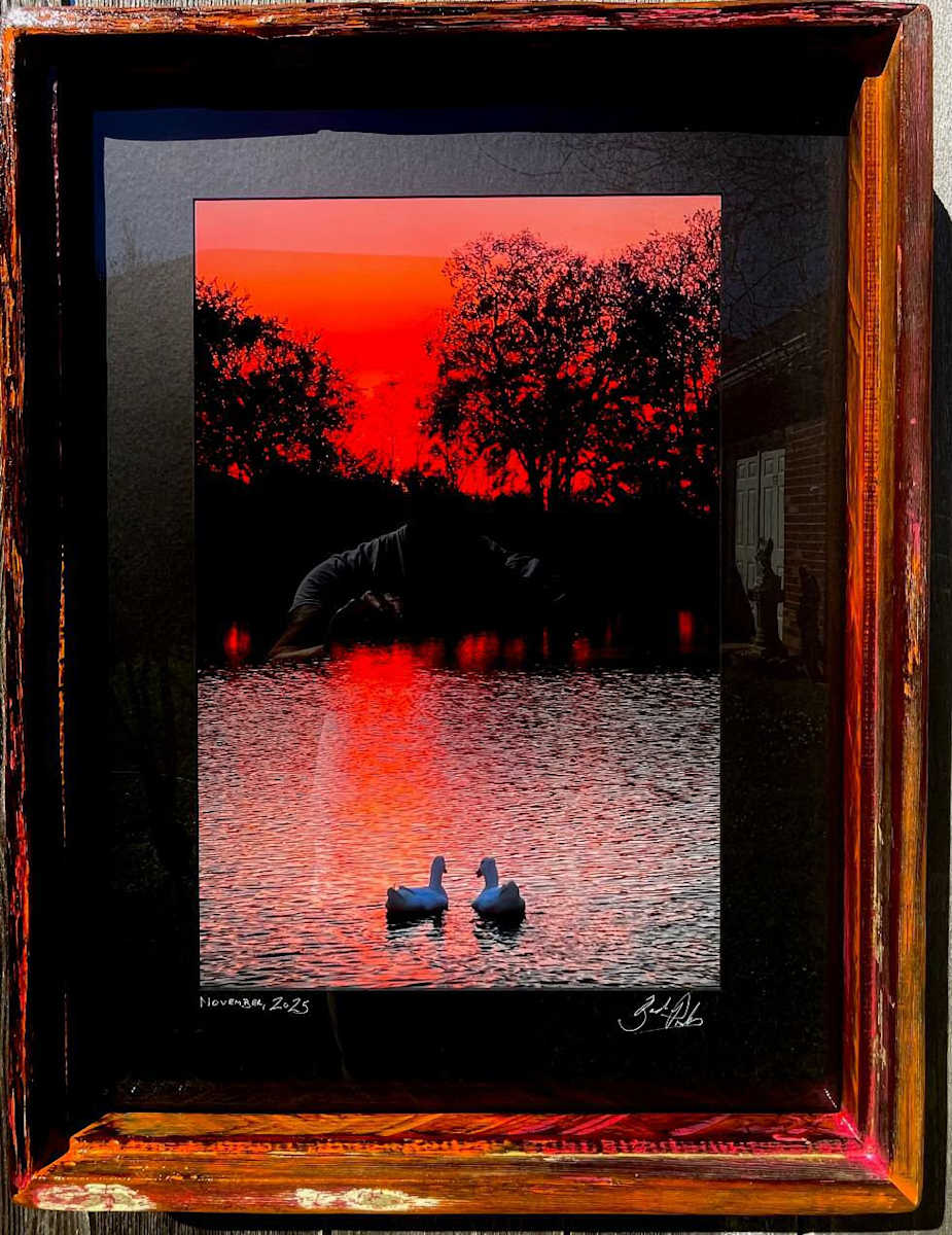 Sunset Swans by Bach Prados, Image 1.