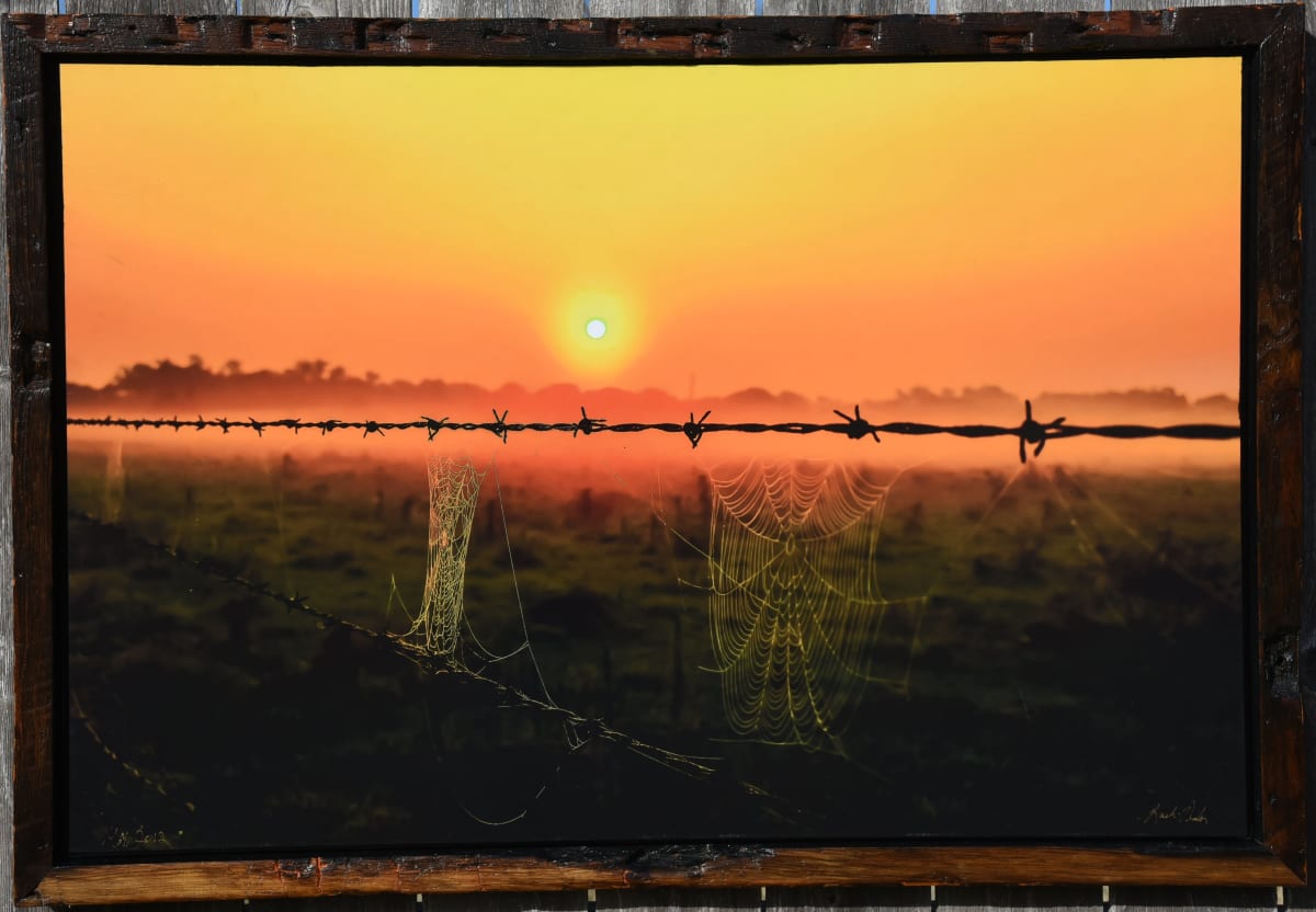 Webs & Wire by Bach Prados 