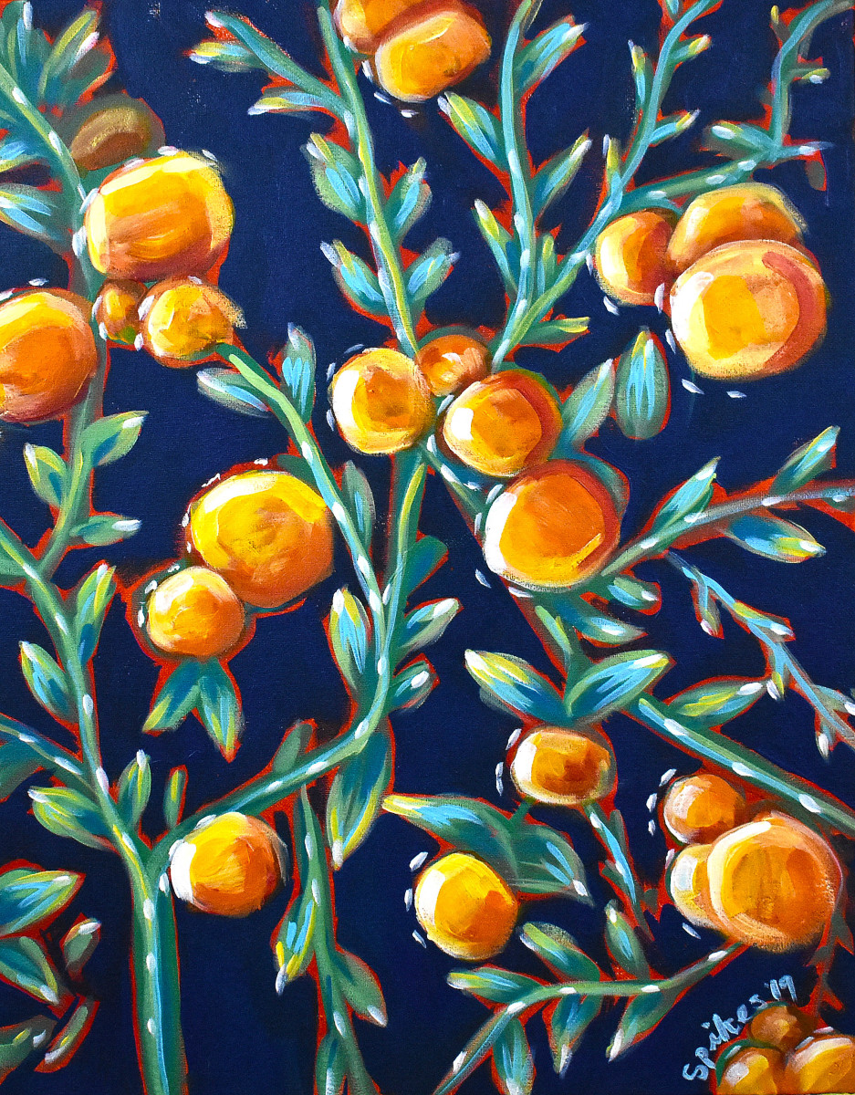 Satsumas by Emily Spikes 