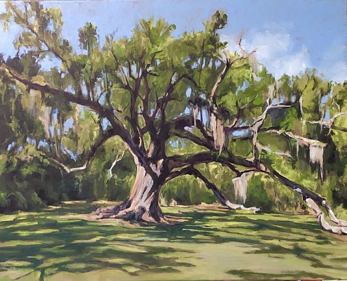 St. Martinville Oak by Doug Nehrbass 