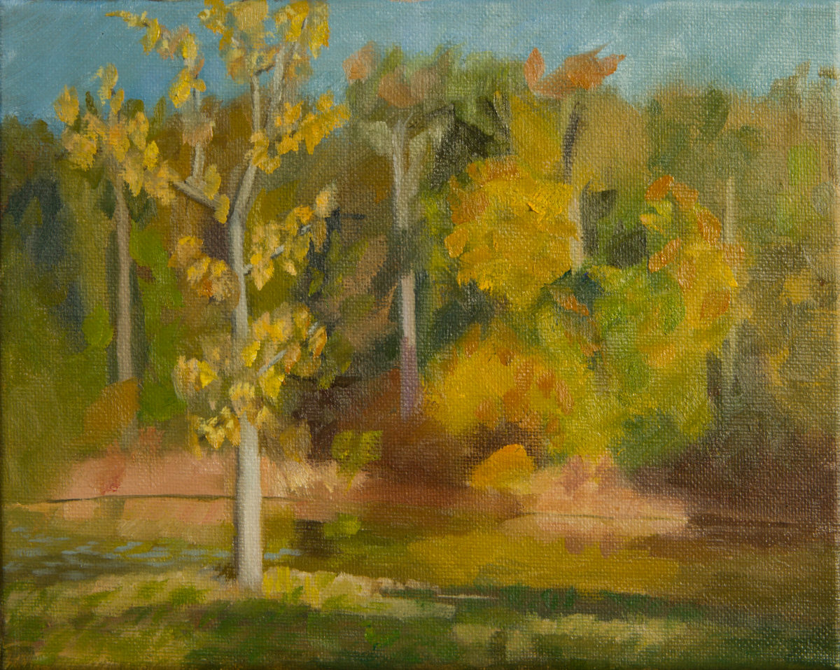 Lazare Lake by Mike Brewer 