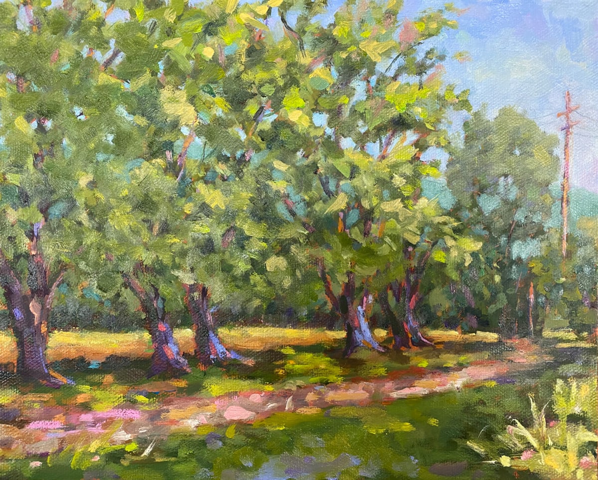 Road Near Camp Nimrod by Sallie Sydnor 