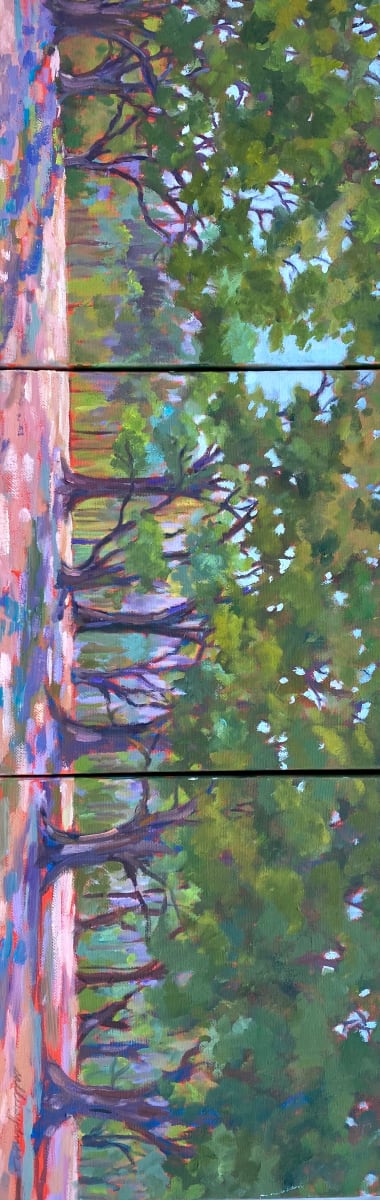 Brookgreen Live Oaks by Sallie Sydnor 