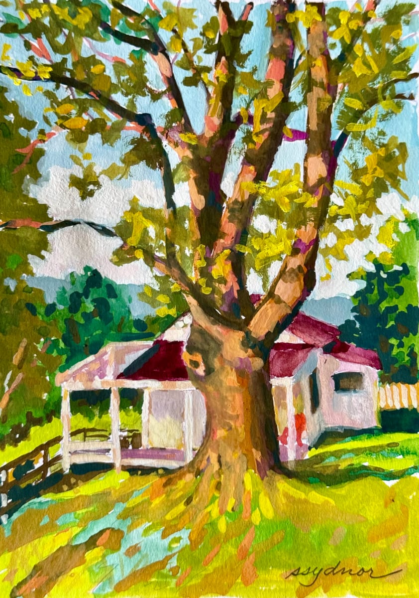 Oak Aglow at Sunset by Sallie Sydnor 
