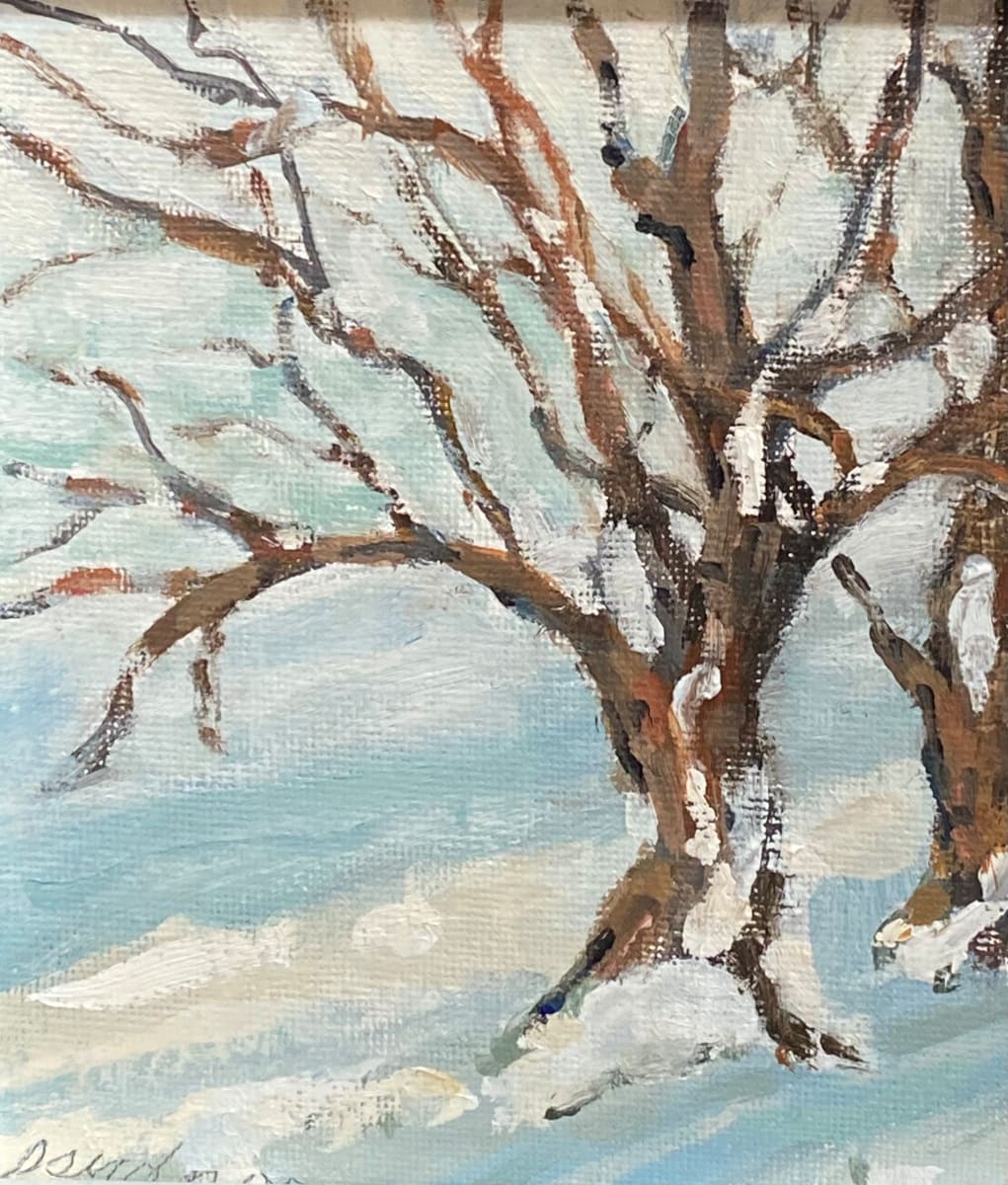 Little Tree in Winter by Sallie Sydnor 