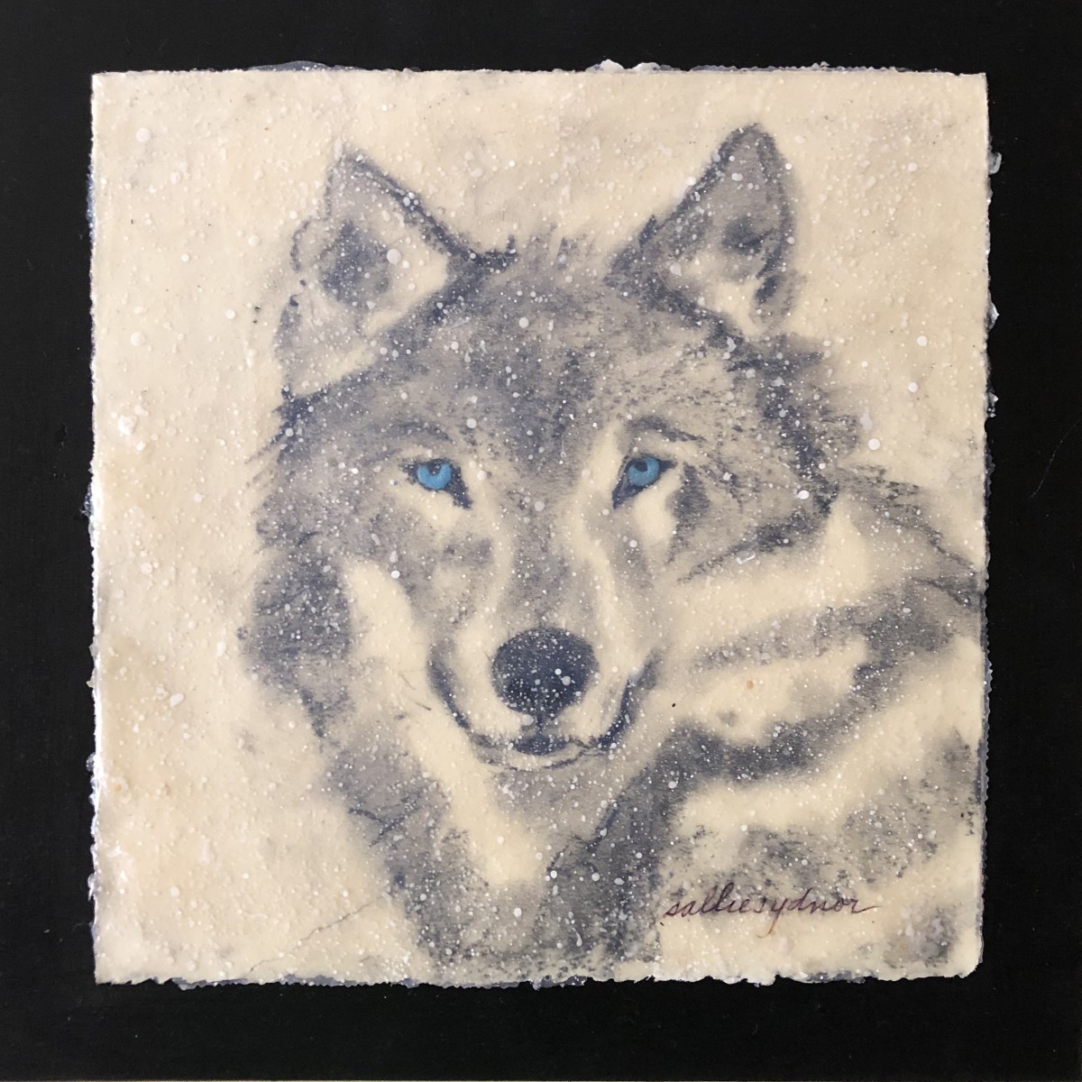 Wolf with Blue Eyes by Sallie Sydnor 