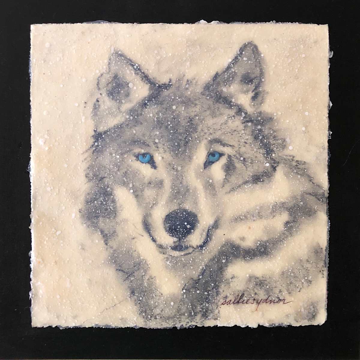 Wolf with Blue Eyes by Sallie Sydnor, Image 1.