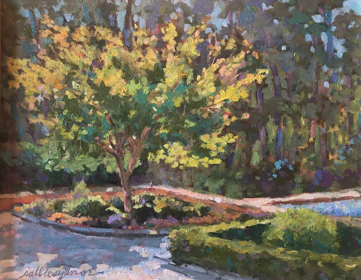 Coralbark Maple by Sallie Sydnor, Image 1.