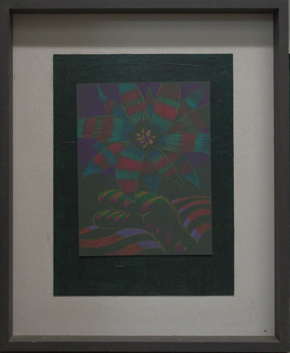 Dream Garden by Jack McLarty  Image: Dream Garden - DSC_3312