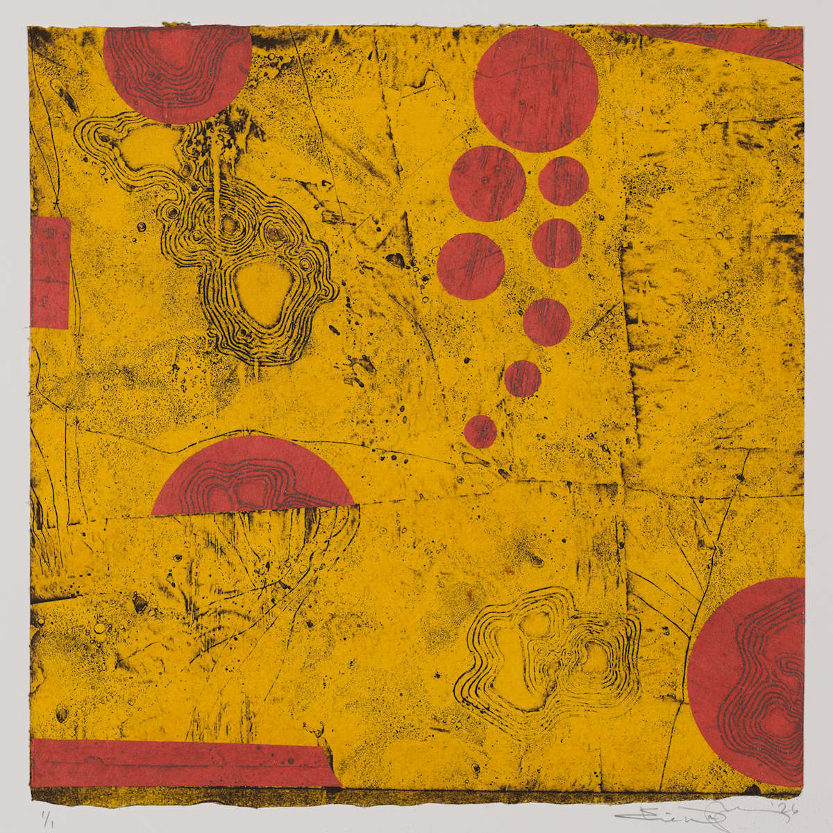 Plane View 1 by Elise Wagner Fine Art, LLC, Image 1.