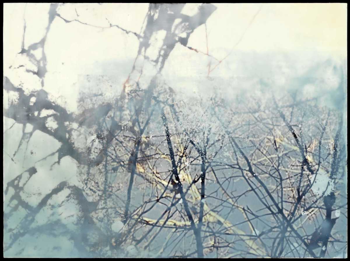 Study for November Wind by Jane Michalski, Image 1.