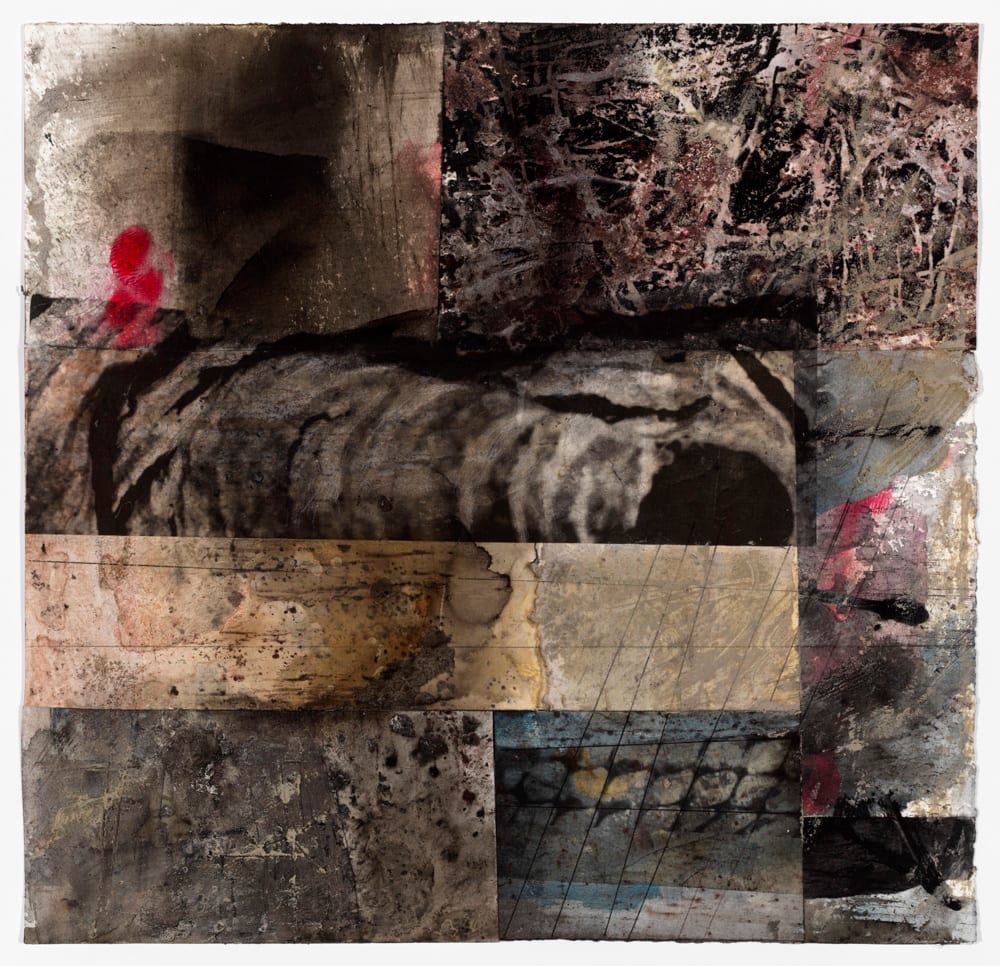 Wasp Nest by Jane Michalski, Image 1.