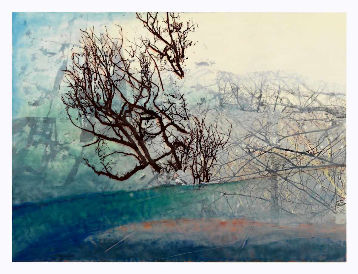 November Wind II by Jane Michalski  Image: Encaustic on Panel, Photo Transfer, Silkscreen