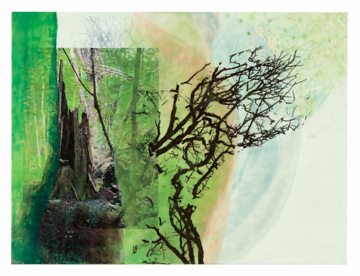 Renewal by Jane Michalski, Image 2.