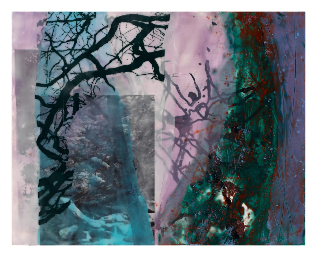 Tangled Trees II by Jane Michalski  Image: encaustic on panel, ink jet print, silk screen