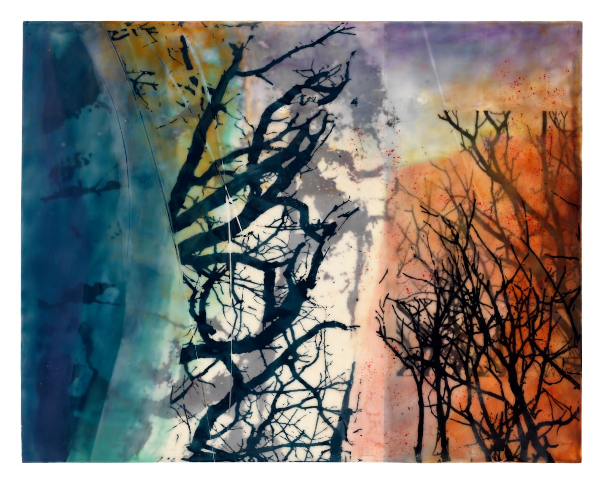 Tangled Trees by Jane Michalski  Image: encaustic on panel, ink jet print, silk screen