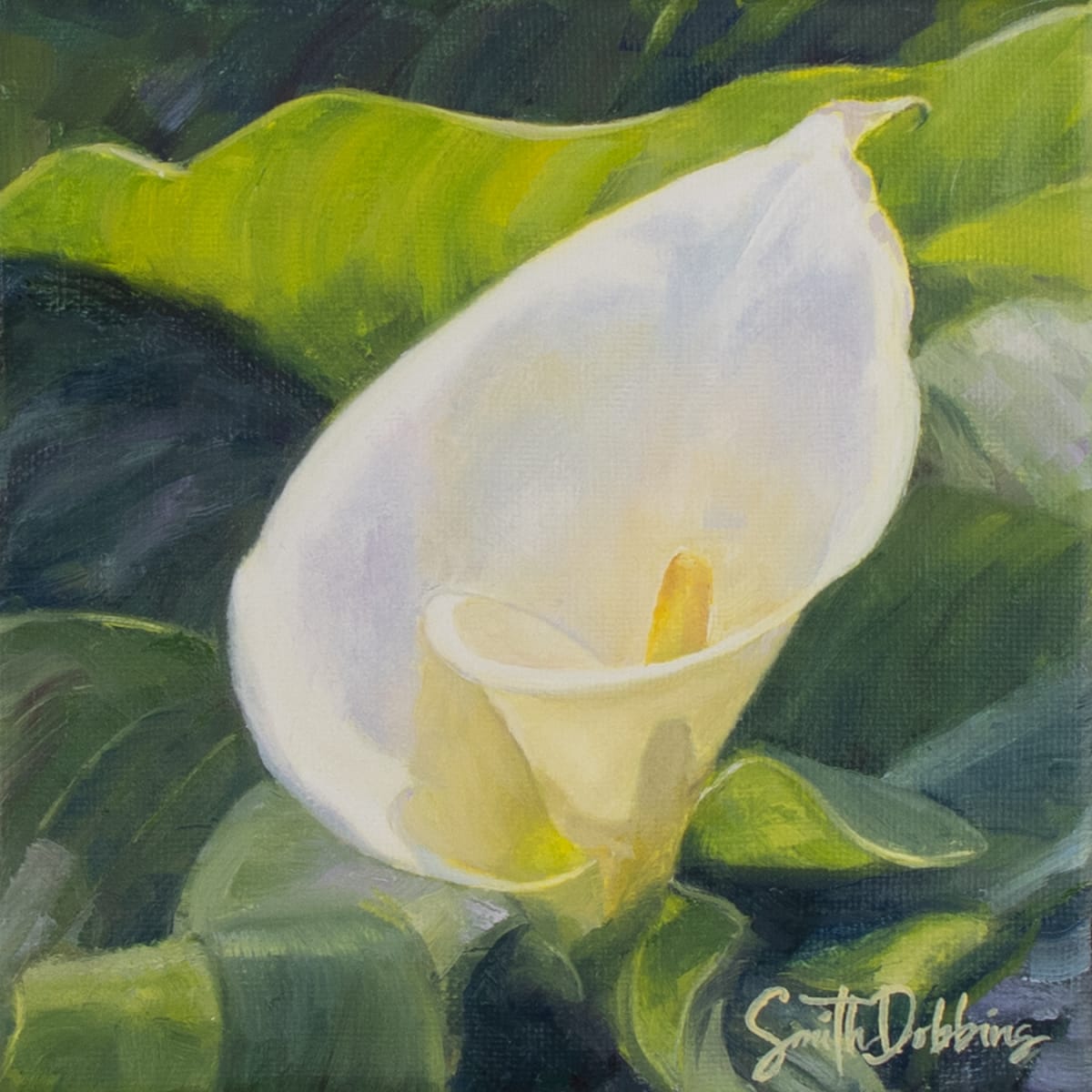 Spring Calla Lily, Image 1.