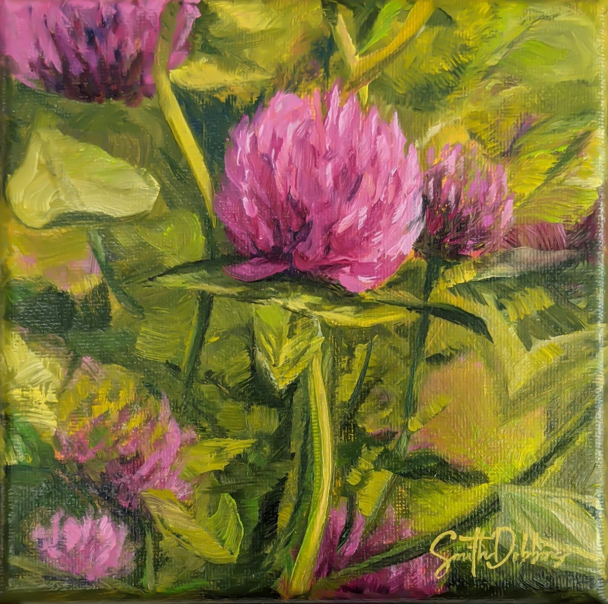 Vermont Red Clover, Image 3.