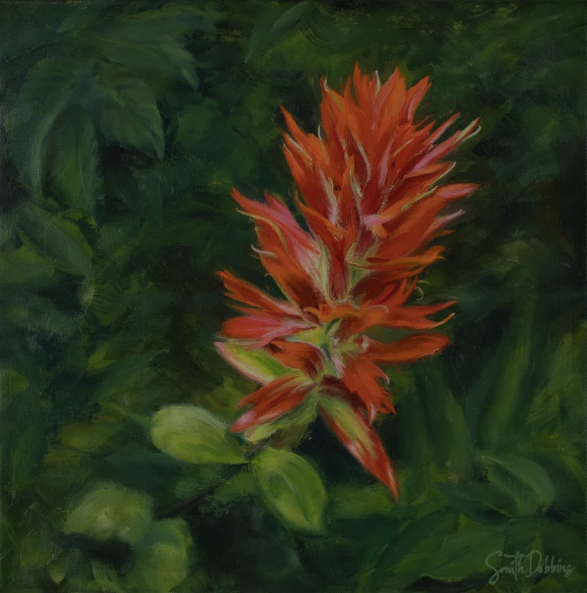 Kristin's Indian Paintbrush by Becky Smith-Dobbins 