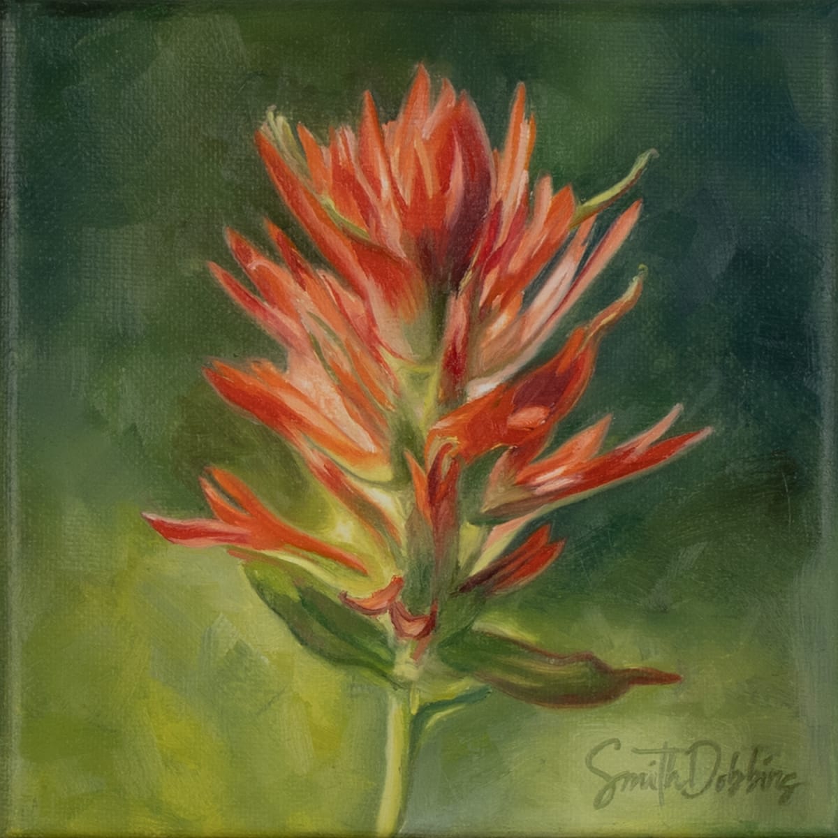 Indian Paintbrush by Becky Smith-Dobbins 