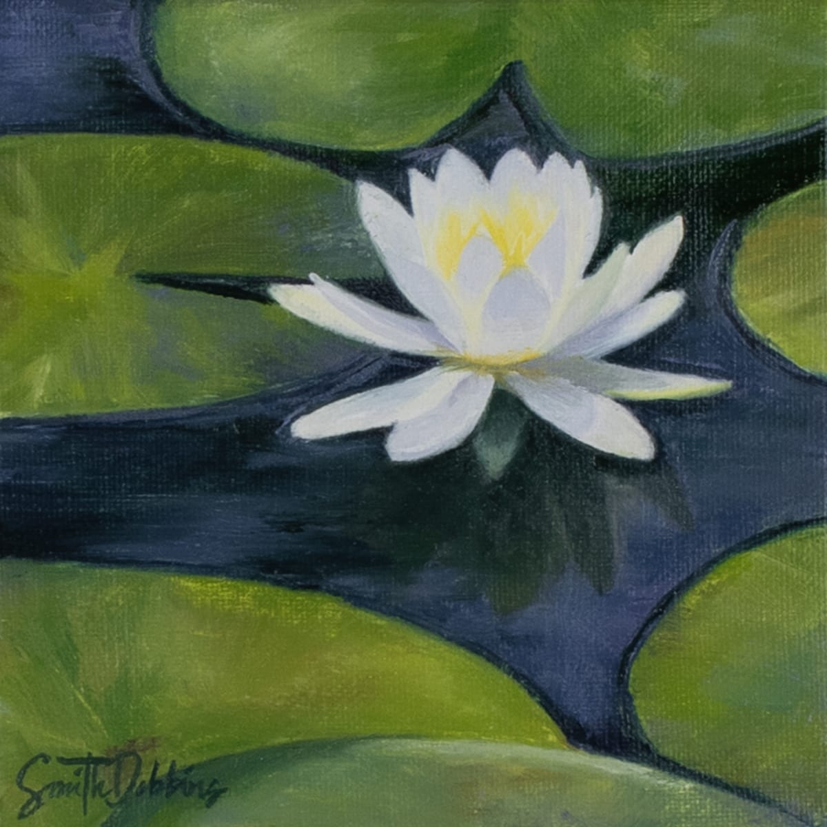 Water Lily 