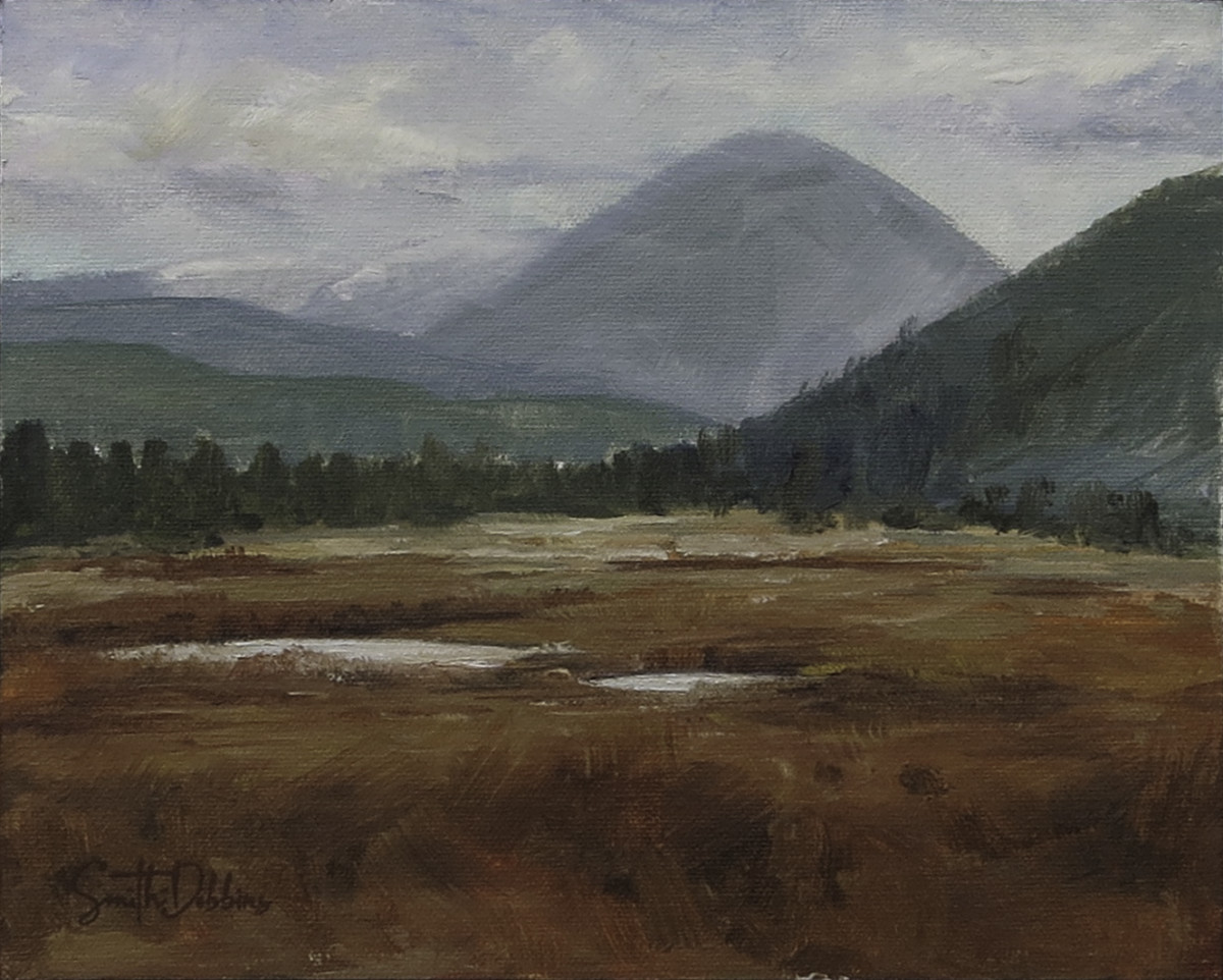 Willow Flats by Becky Smith-Dobbins 