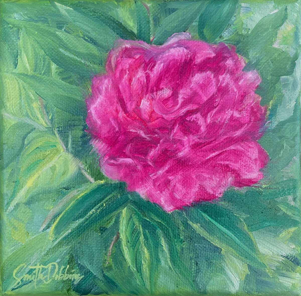 Peterson's Peonies, Image 1.