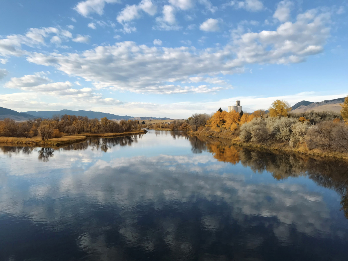 Reflections by Becky Smith-Dobbins 