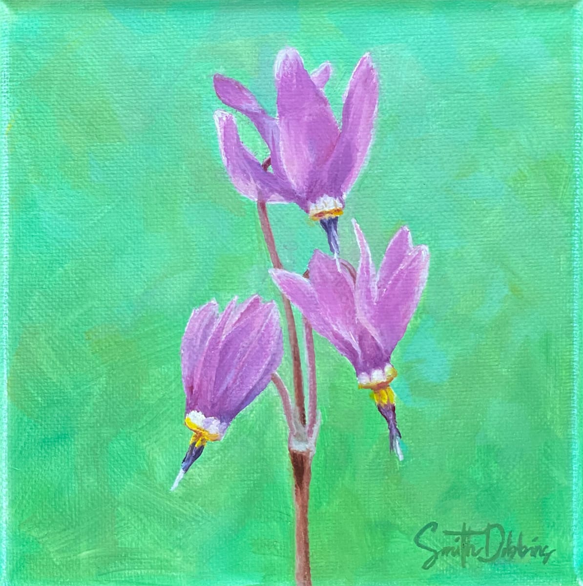 Shooting Stars, Image 6.
