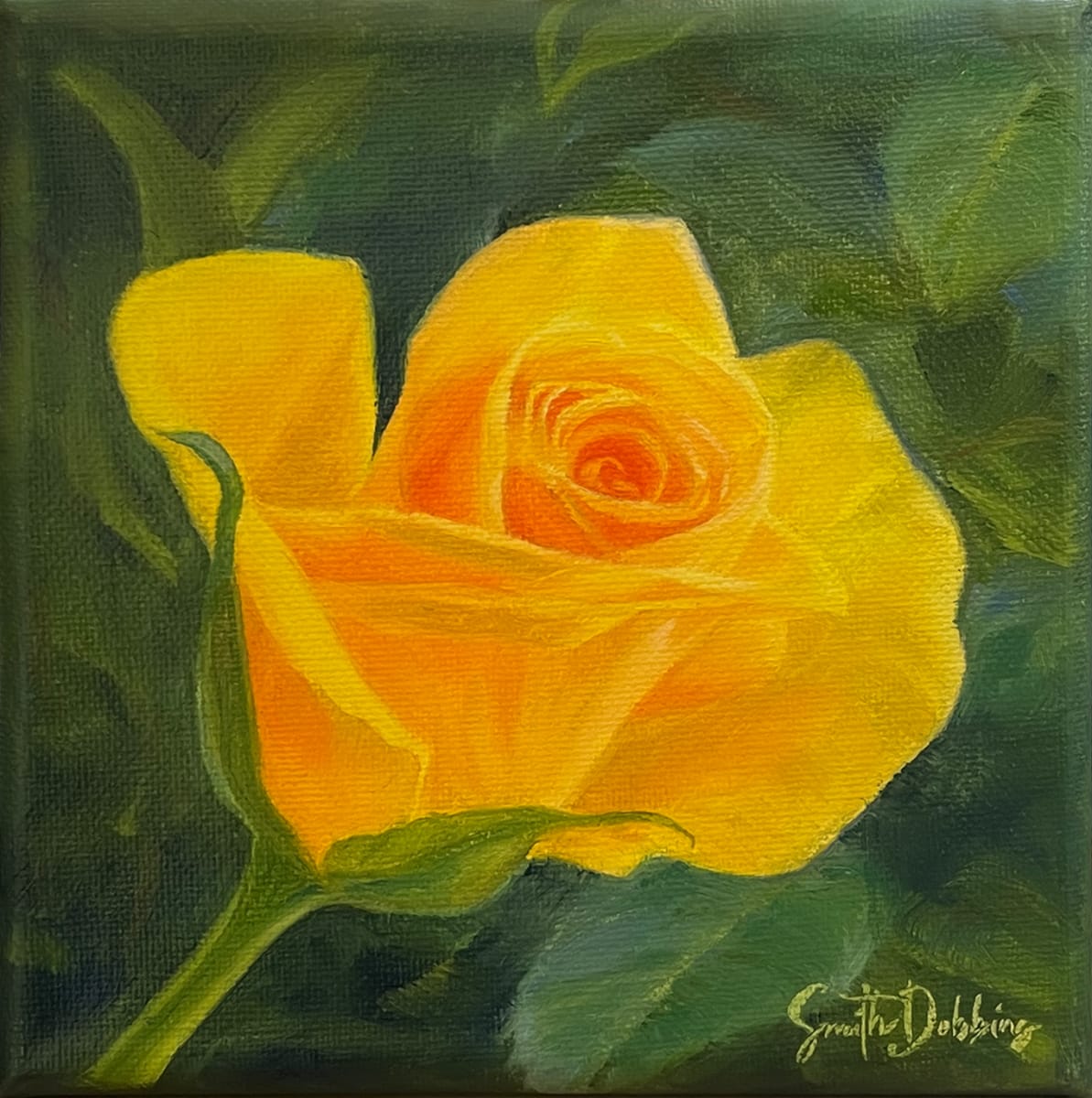 Sunshine Rose, Image 5.