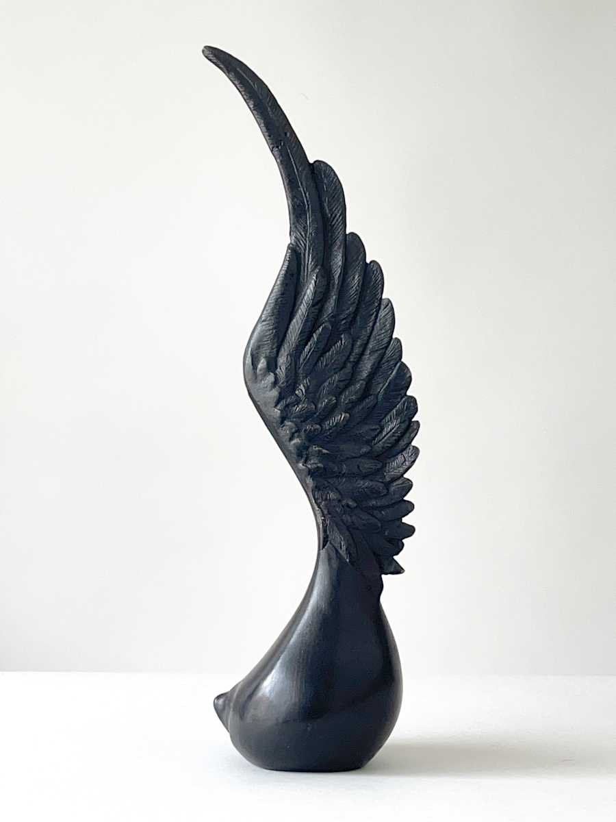 Amazon II (Amazona II) by Claire Becker 