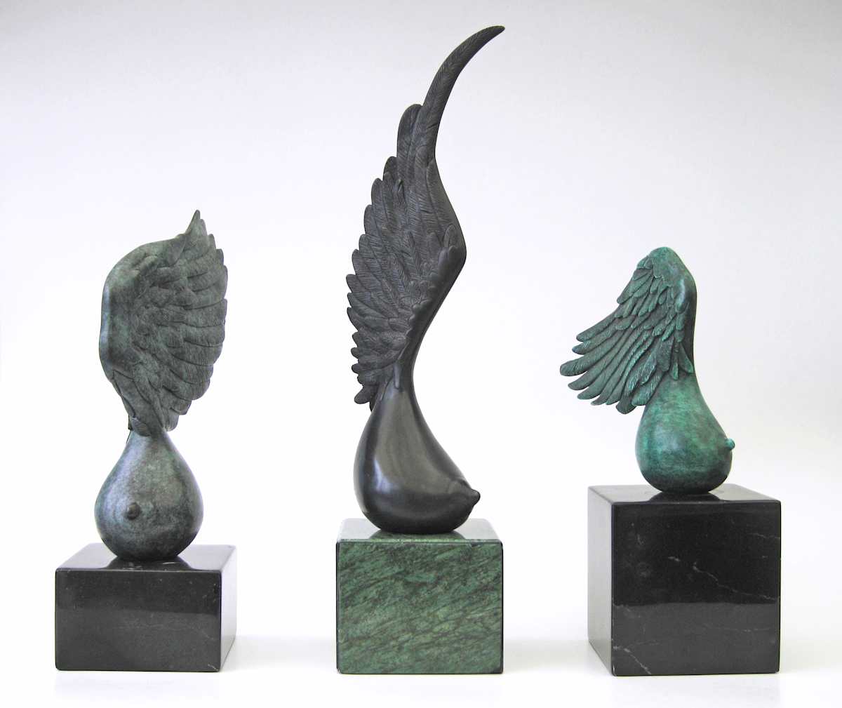 Amazons by Claire Becker 