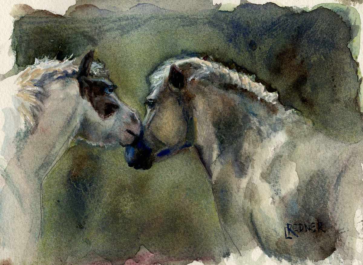 Shetland Kiss by Lynette Redner 