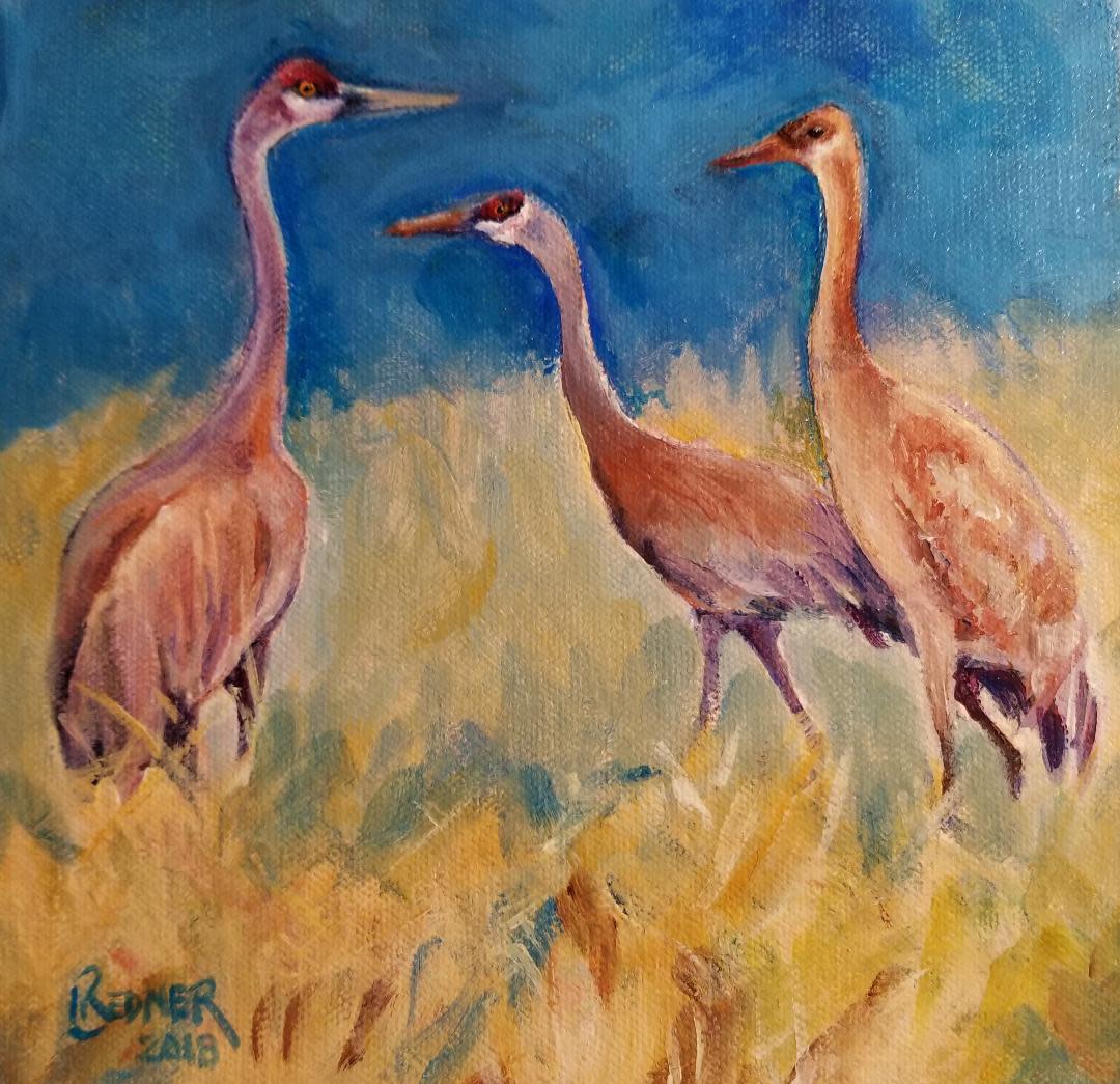 Family of Sandhill Cranes-a Juvenile by Lynette Redner 