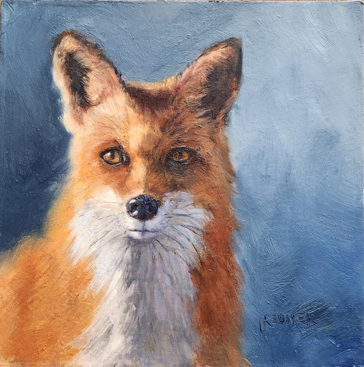 Curious Fox by Lynette Redner 