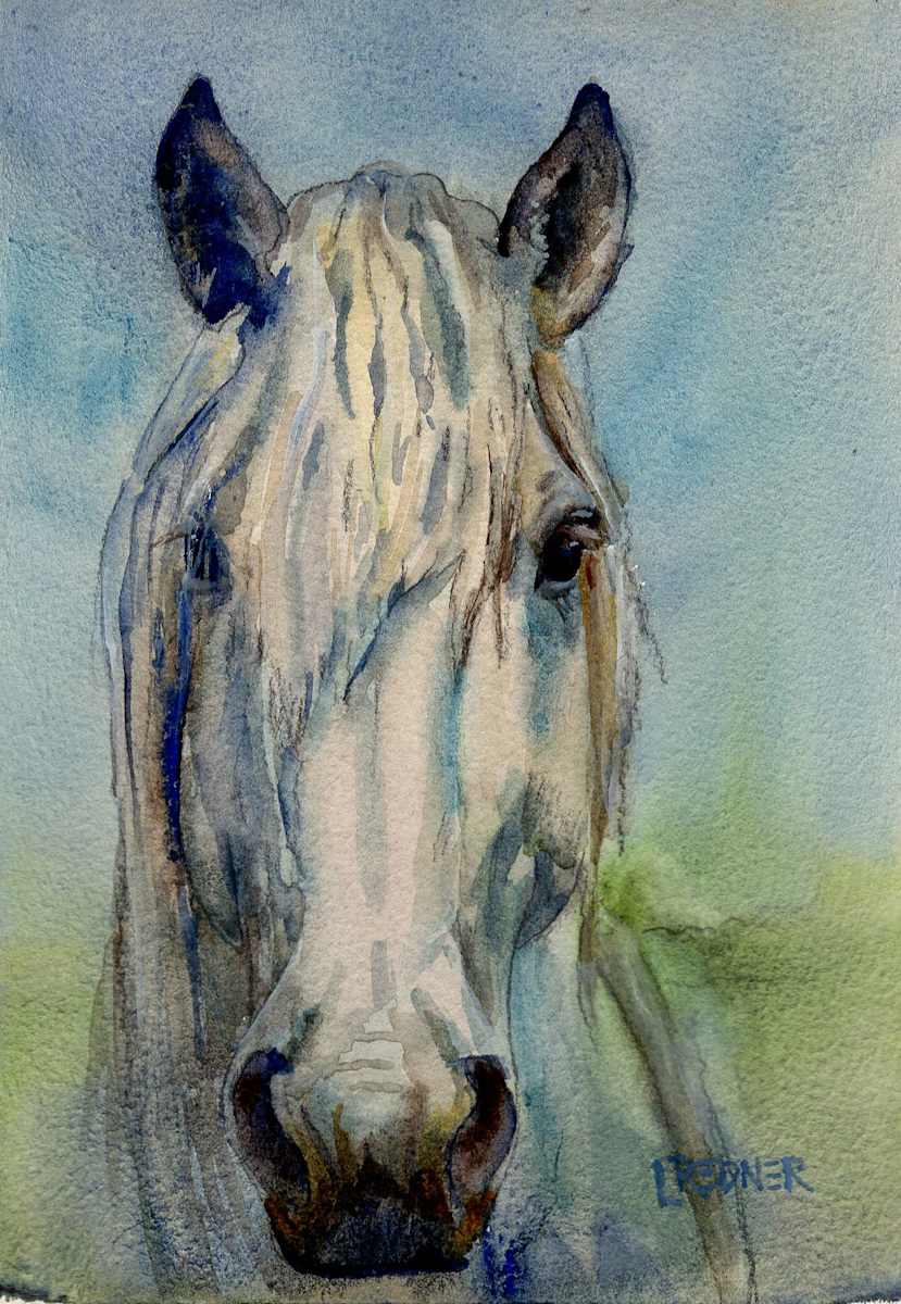 The White Draft by Lynette Redner, Image 1.