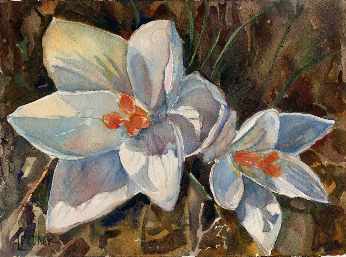 Spring's First Flowers: crocus by Lynette Redner 
