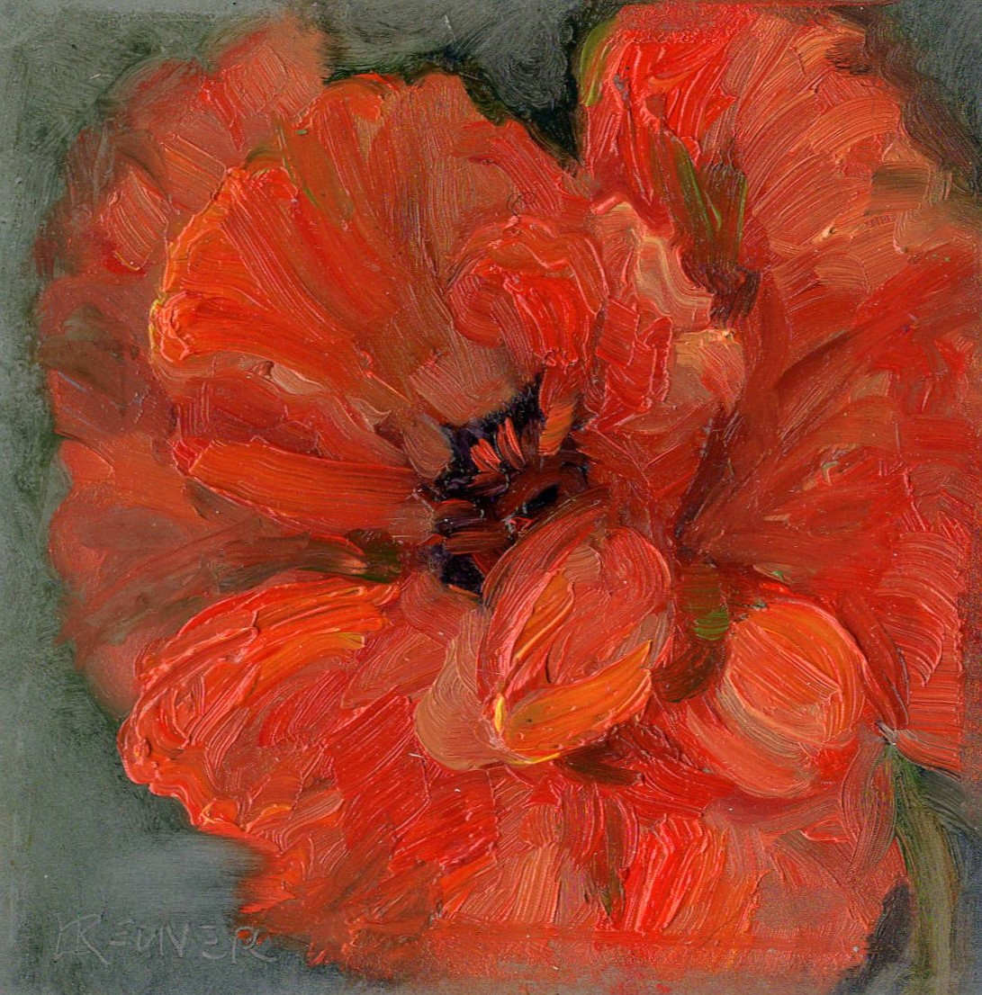 A Late Season Poppy by Lynette Redner 