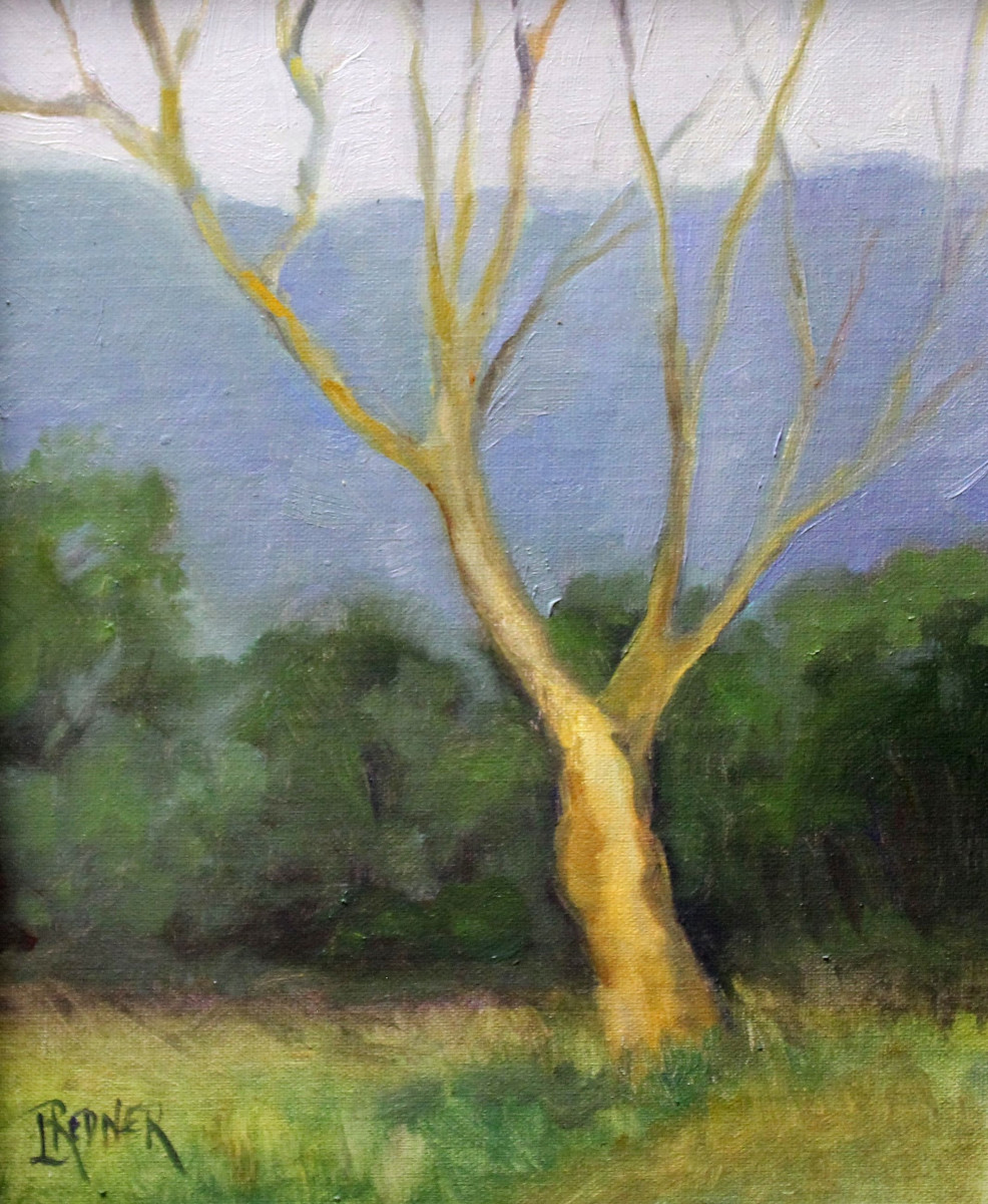 The Solitary Tree by Lynette Redner 