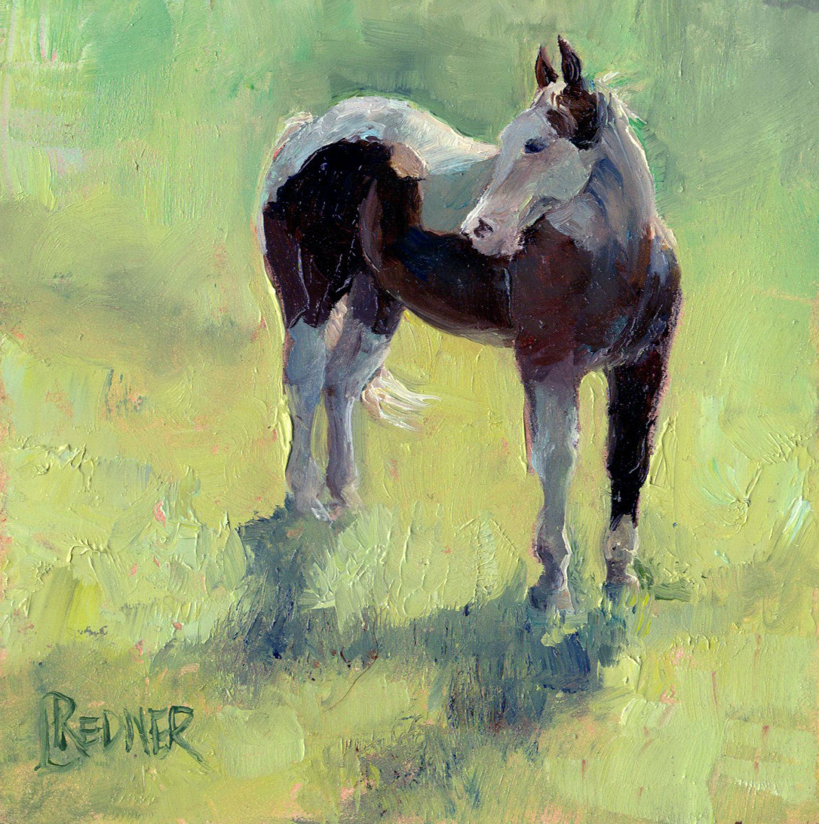 Basking in the Summer Light: Paint Horse by Lynette Redner 