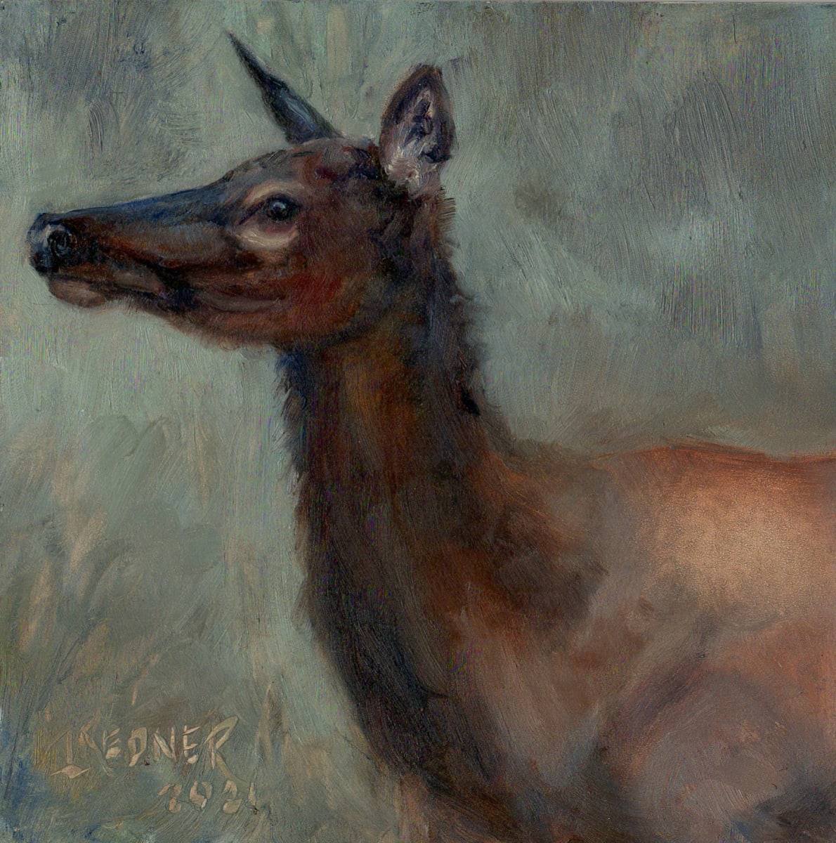 Yellowstone: Cow Elk by Lynette Redner, Image 1.