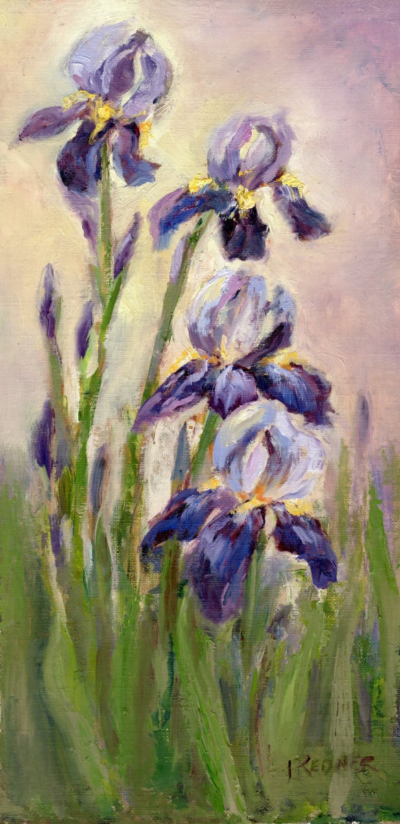 Dance of the Iris by Lynette Redner 