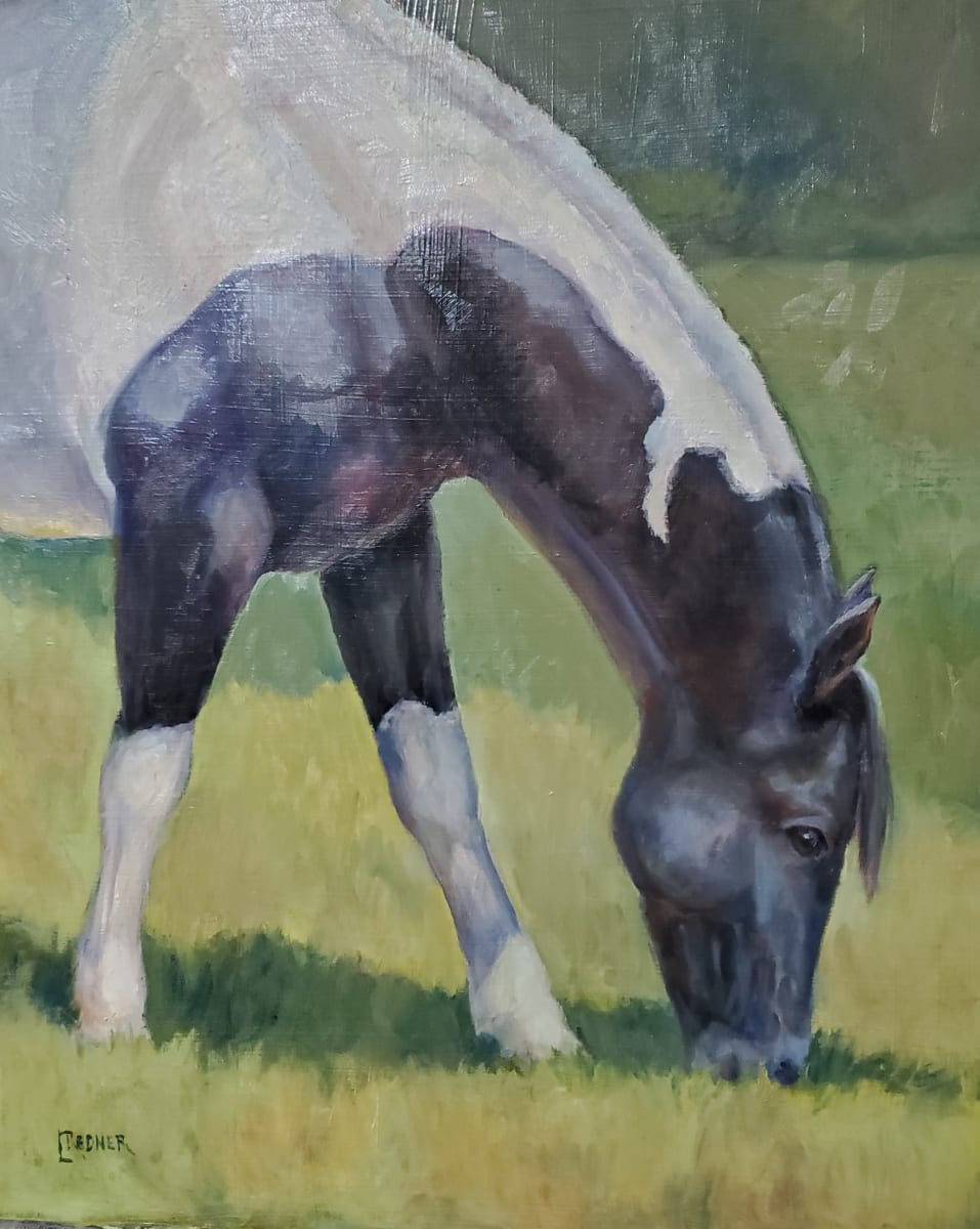 Paint Horse Grazing by Lynette Redner 