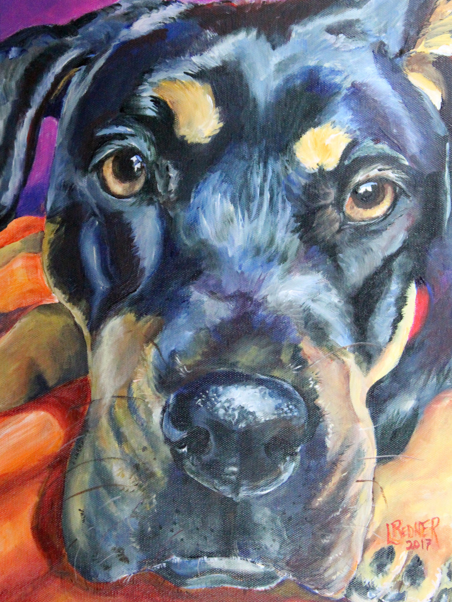 Ziva by Lynette Redner 