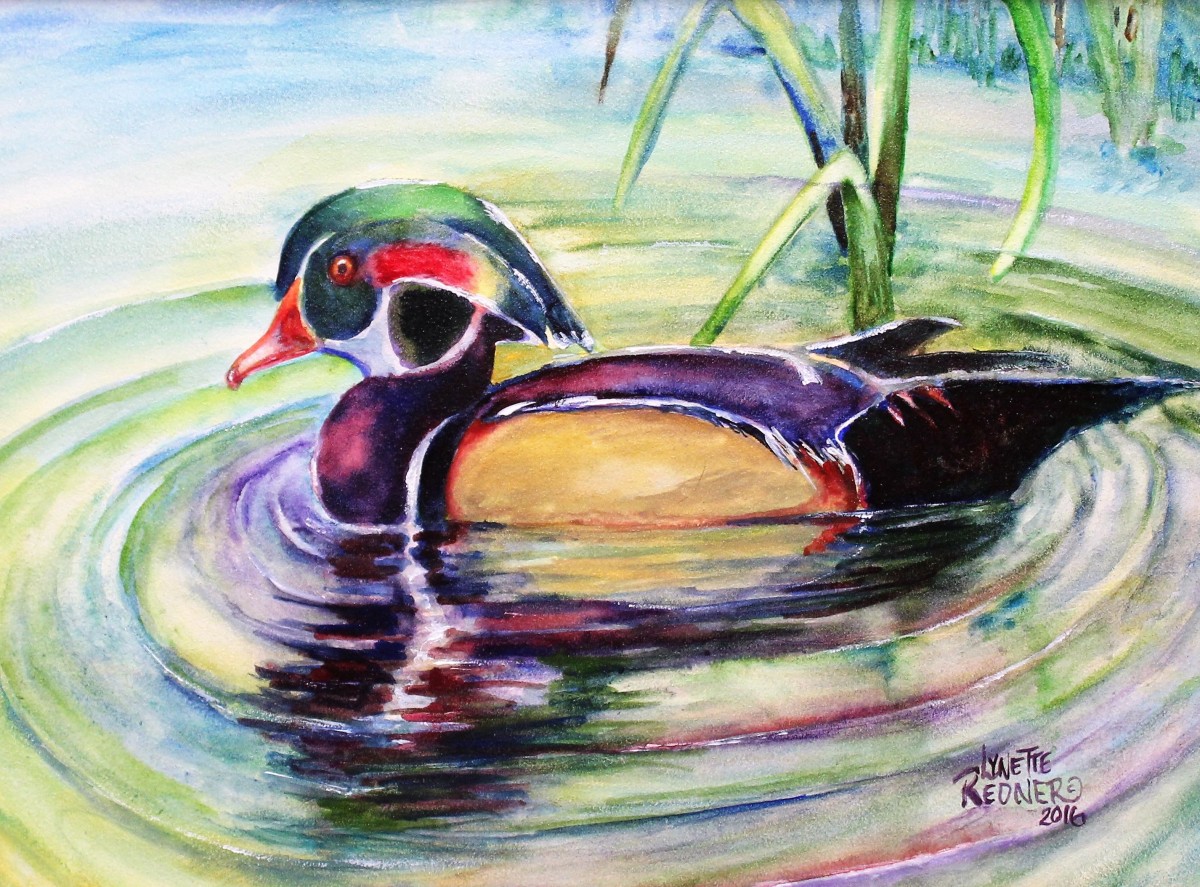 Serenity of a Wood Duck by Lynette Redner 