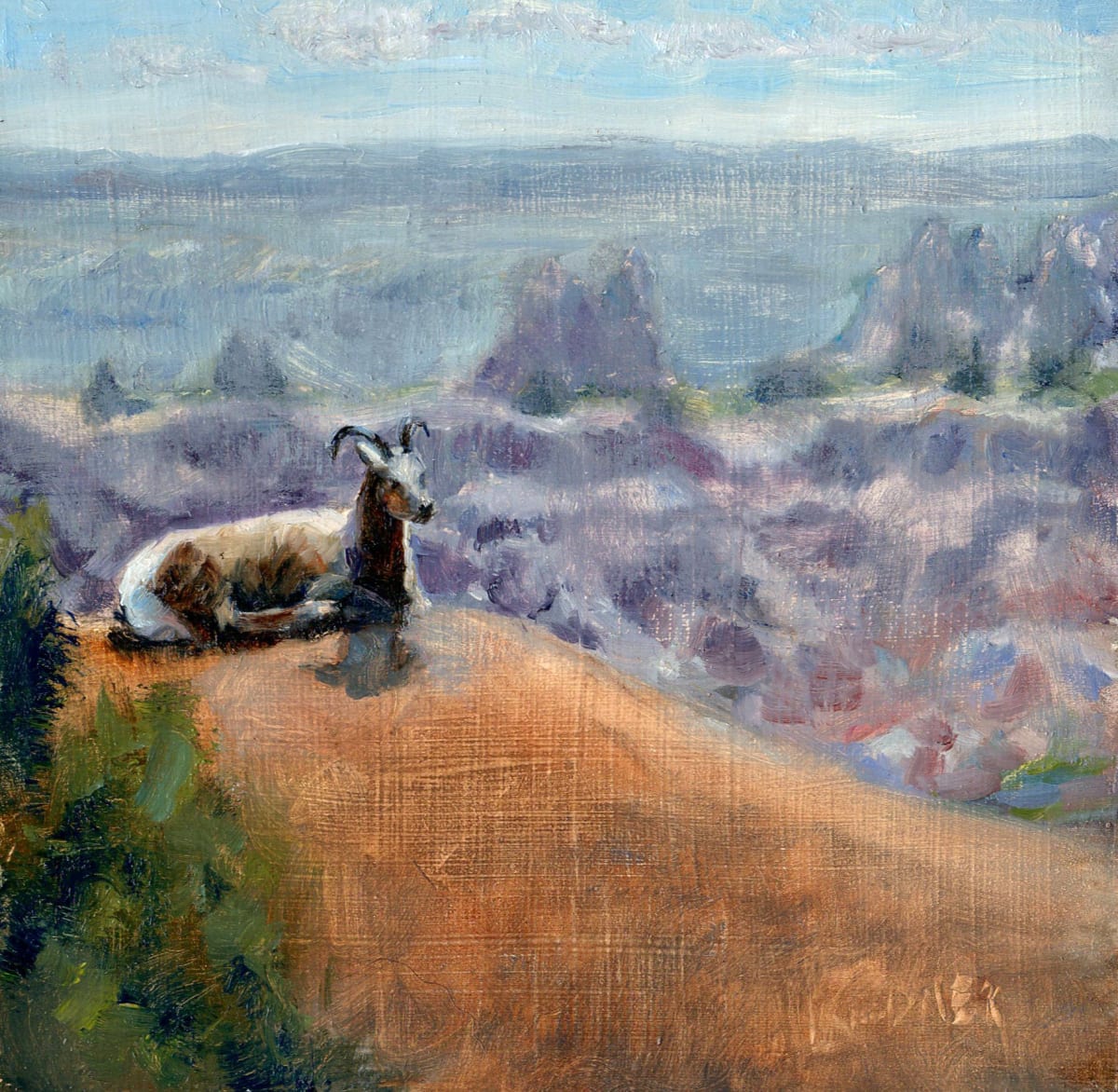 Lonely Sheep on a Hill: Bad Lands 
