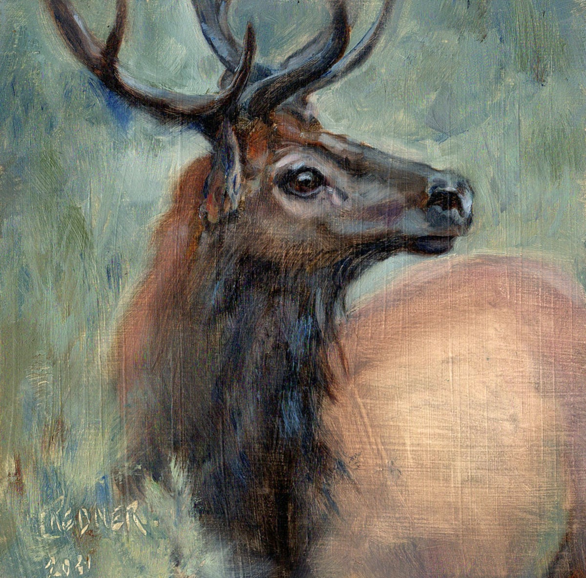 Yellowstone: Looking for Love 